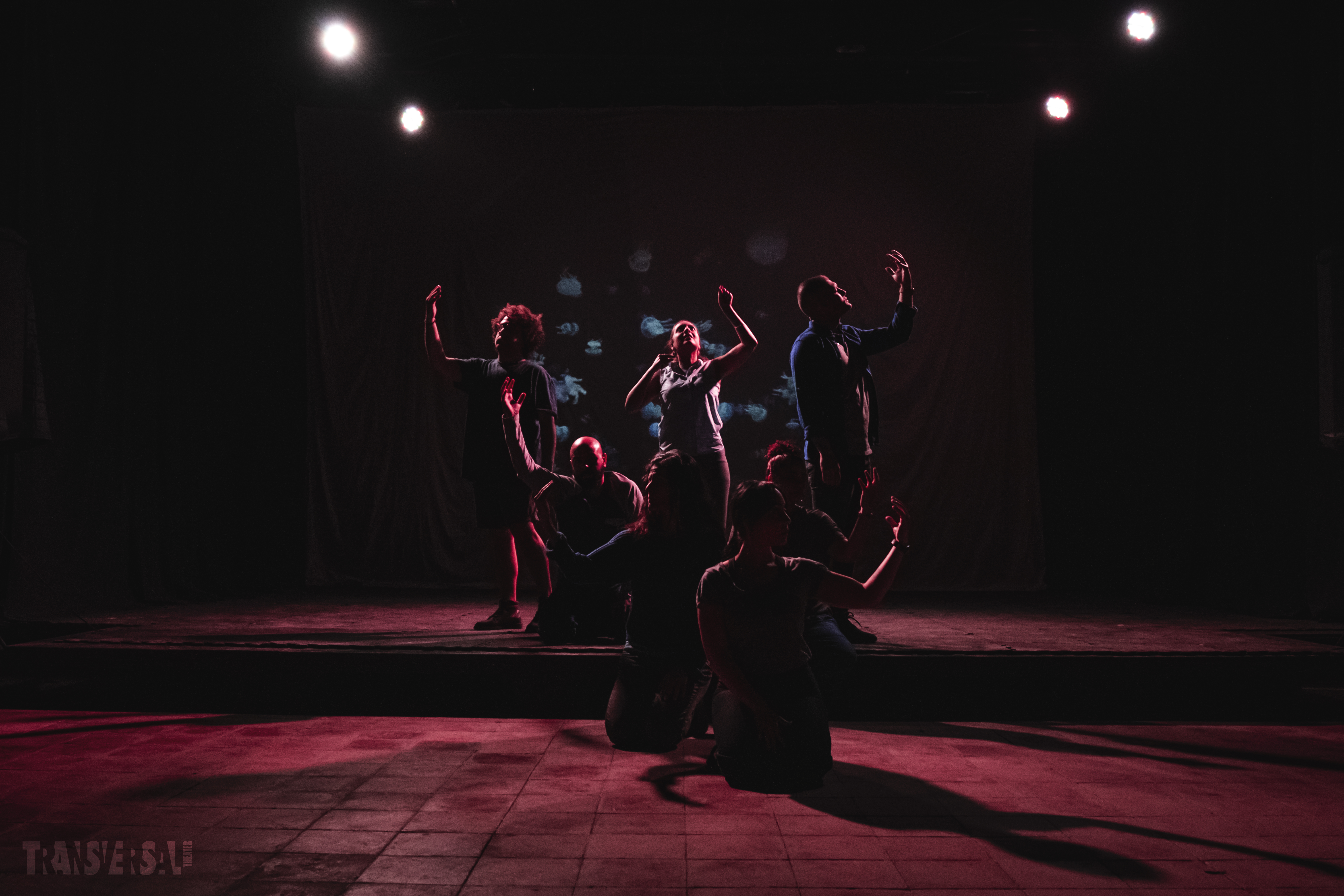 No Erasure | Transversal Theater 2021